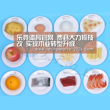 乐竞体育官网_费县大力抓技改 实现木业转型升级
